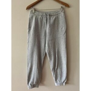 TNA Aritzia Vermont Jogger Heather Chrome Small